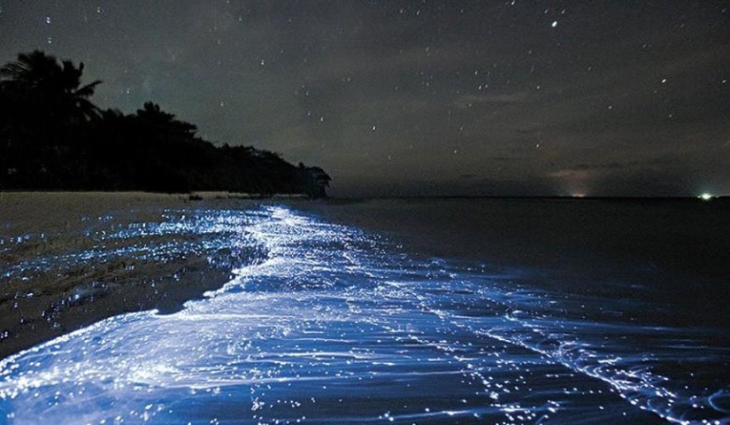 10 playas más increíbles del mundo 10 playas más increíbles del mundo