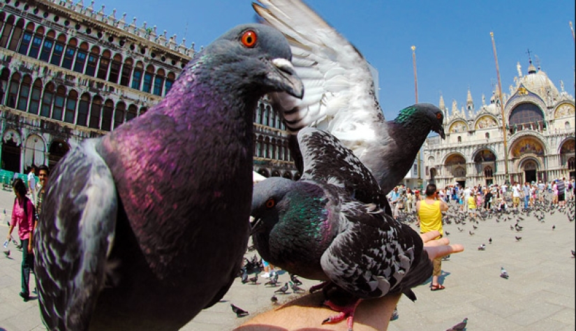 10 prohibiciones inusuales que pueden encontrar los turistas