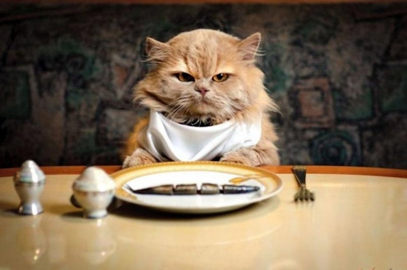 10 rules of etiquette that can confuse us in other countries