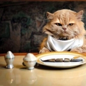 10 rules of etiquette that can confuse us in other countries 10 rules of etiquette that can confuse us in other countries