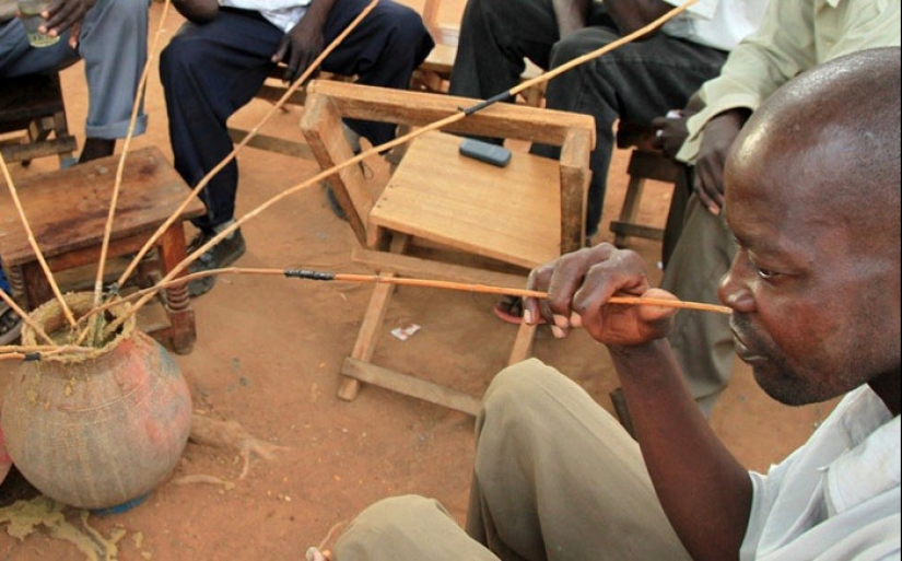 10 Shocking Cases of Tragic Food Deaths