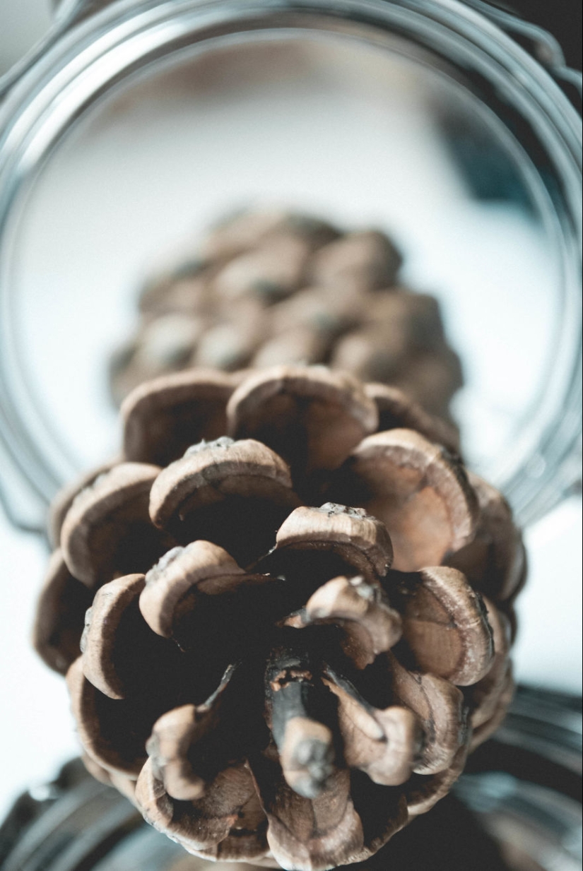 10 simple tips on how to take a fun photo of an ordinary bump