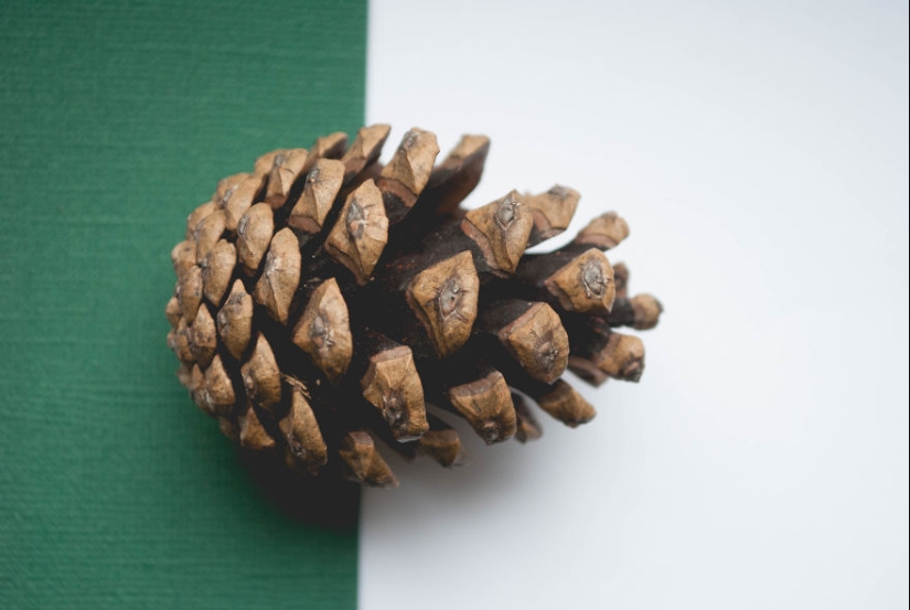 10 simple tips on how to take a fun photo of an ordinary bump