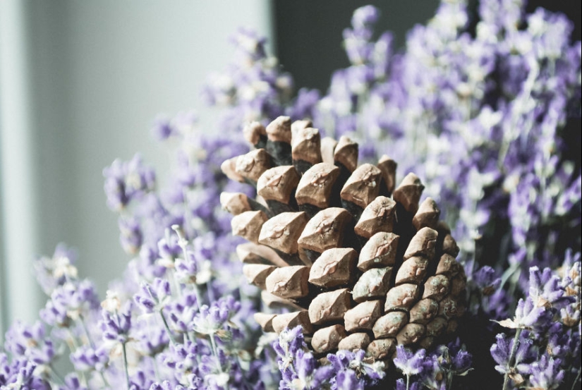 10 simple tips on how to take a fun photo of an ordinary bump