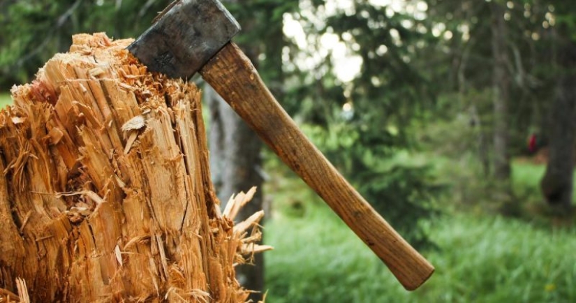 10 situaciones extremas en las que una extremidad tuvo que ser amputada independientemente para sobrevivir 10 situaciones extremas en las que una extremidad tuvo que ser amputada independientemente para sobrevivir