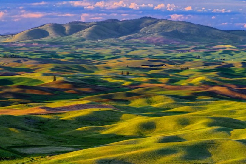 10 stunning photos that look suspiciously like paintings