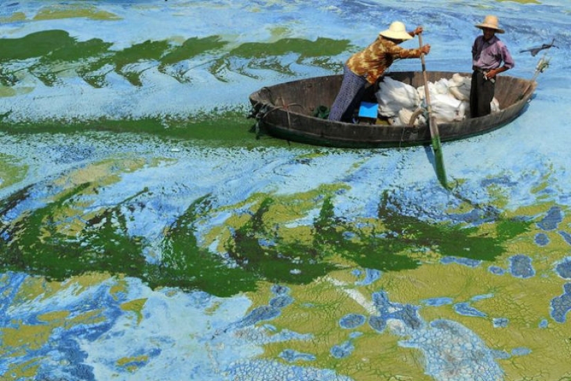 10 stunning photos that look suspiciously like paintings