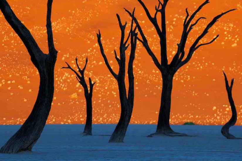 10 stunning photos that look suspiciously like paintings