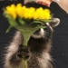 10 Times Animals Acted So Weird They Ended Up On The “Not My Animal” Page 10 Times Animals Acted So Weird They Ended Up On The “Not My Animal” Page