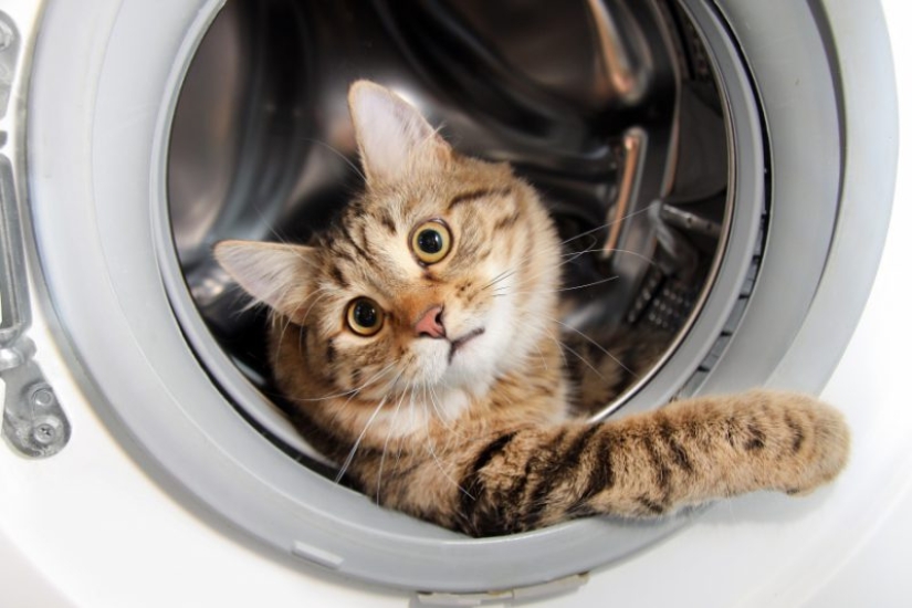 10 trucos simples para la vida en caso de que no haya agua caliente