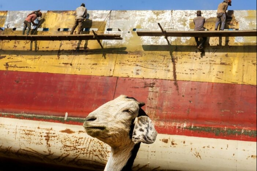 10 Unique Moments Captured By Md Enamul Kabir