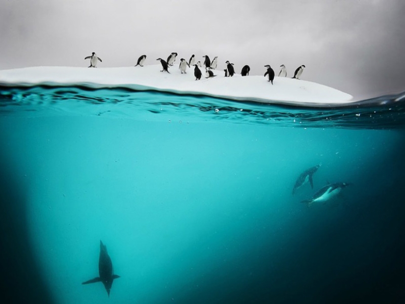 10 unique prepodobnykh photos 10 unique prepodobnykh photos