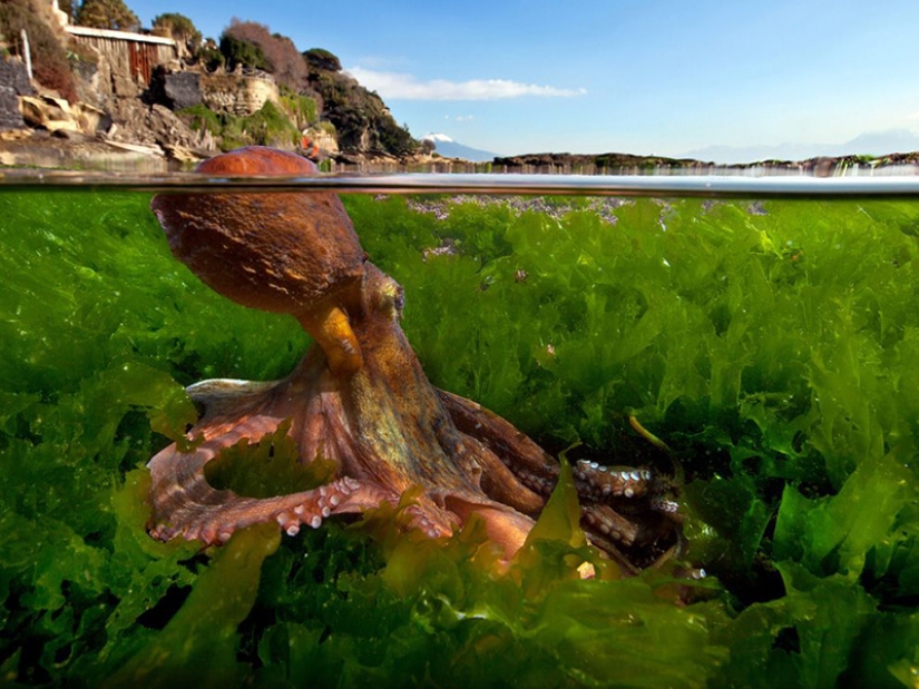 10 unique prepodobnykh photos 10 unique prepodobnykh photos