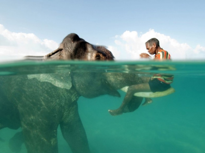 10 unique prepodobnykh photos 10 unique prepodobnykh photos