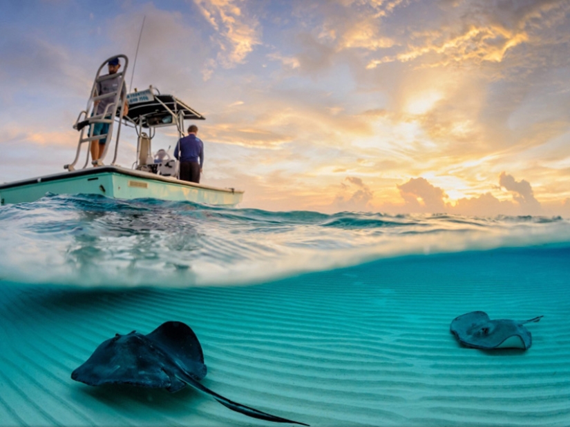 10 unique prepodobnykh photos 10 unique prepodobnykh photos