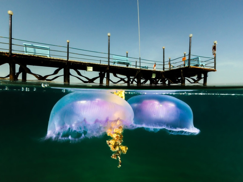 10 unique prepodobnykh photos 10 unique prepodobnykh photos