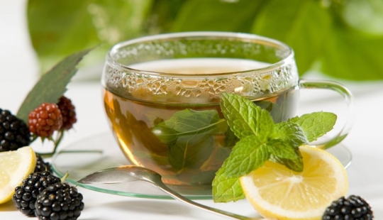 10 useful properties of green tea 10 useful properties of green tea