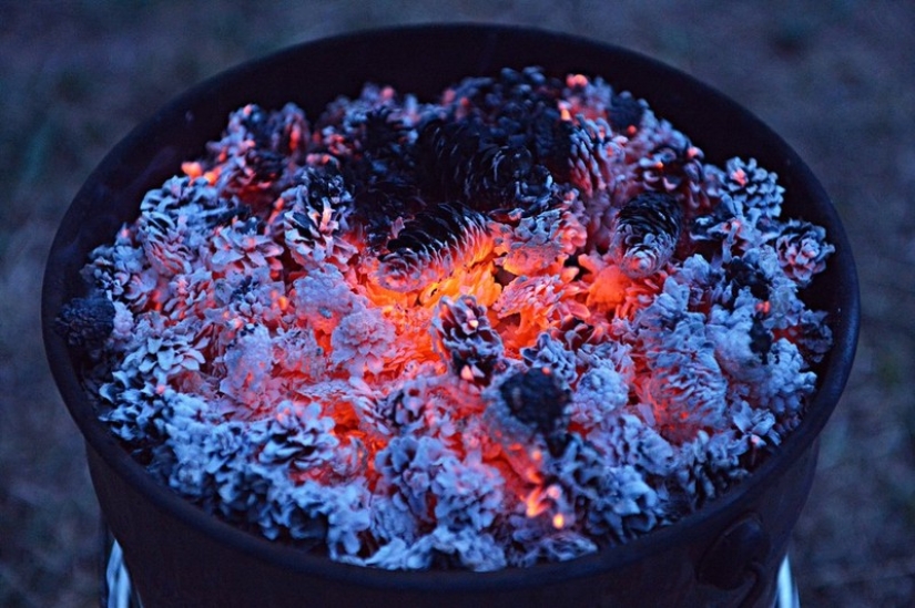 10 ways to fight mosquitoes and their bites