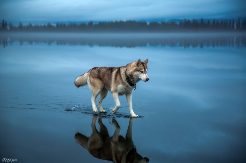 100 best photos without photoshop