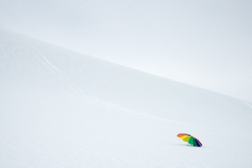 100 best photos without photoshop