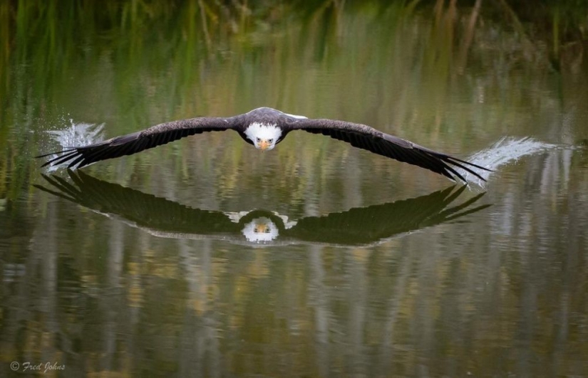 100 best photos without photoshop