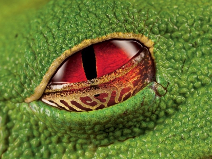 100 best photos without photoshop