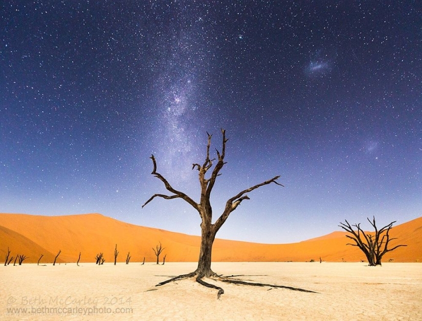 100 best photos without photoshop