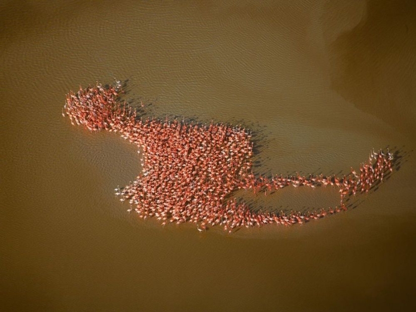 100 best photos without photoshop