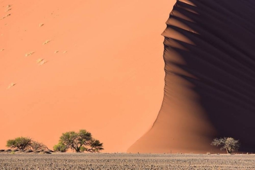 100 best photos without photoshop