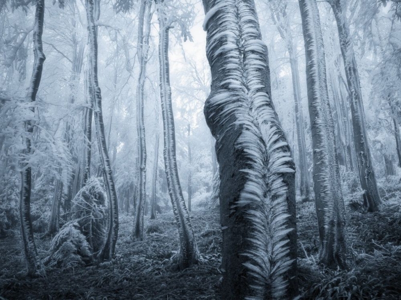 100 best photos without photoshop
