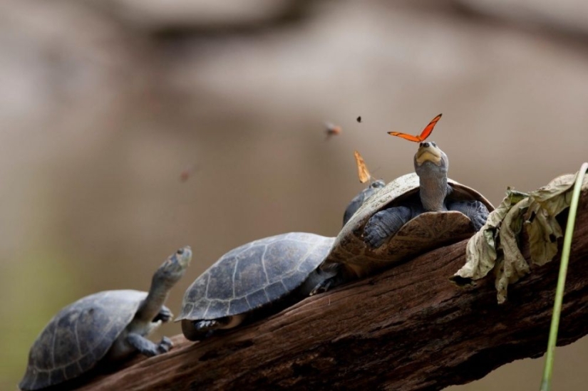 100 best photos without photoshop