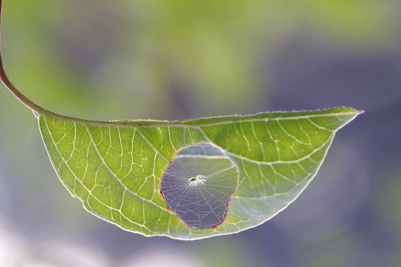 100 best photos without photoshop
