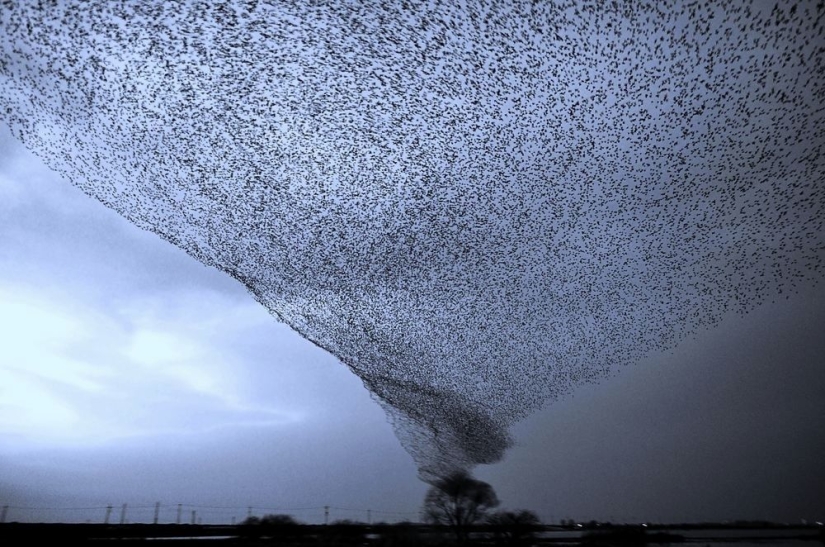 100 best photos without photoshop