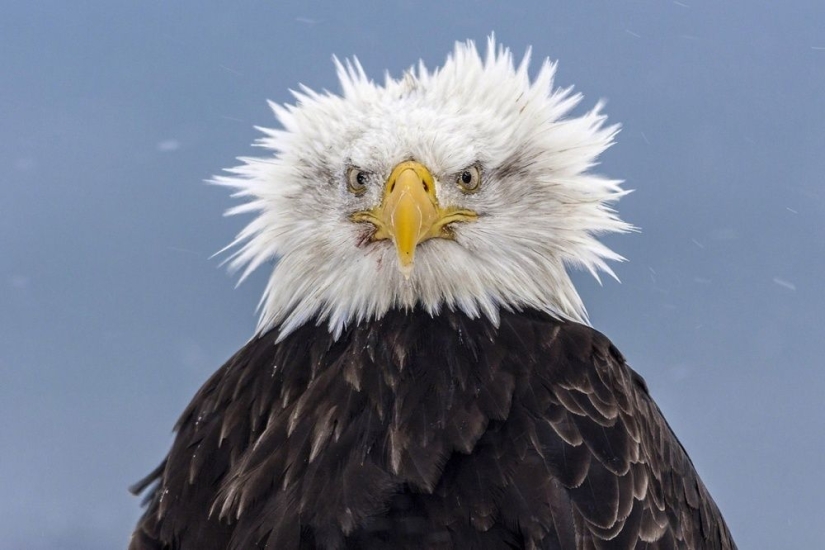 100 best photos without photoshop