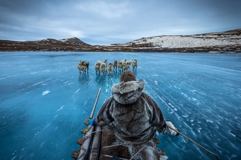 100 best photos without photoshop
