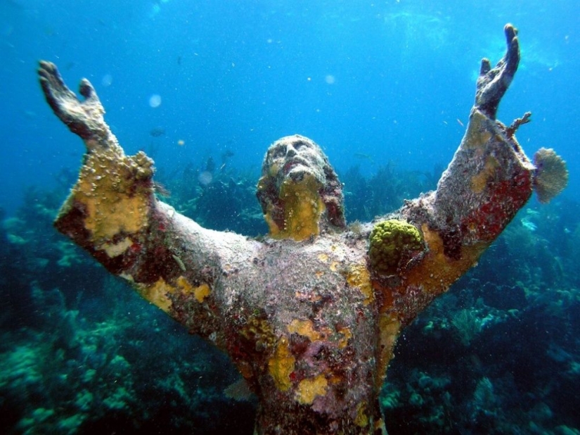 100 best photos without photoshop