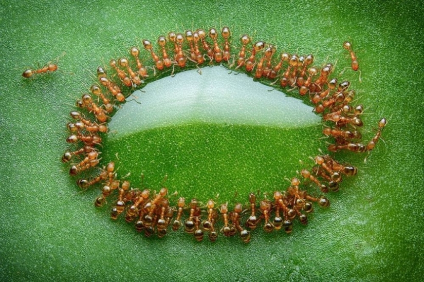 100 best photos without photoshop