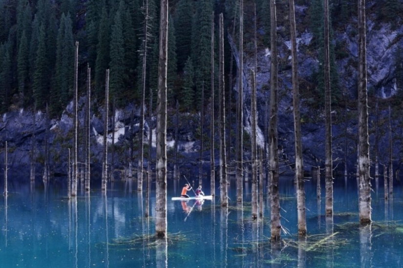 100 best photos without photoshop