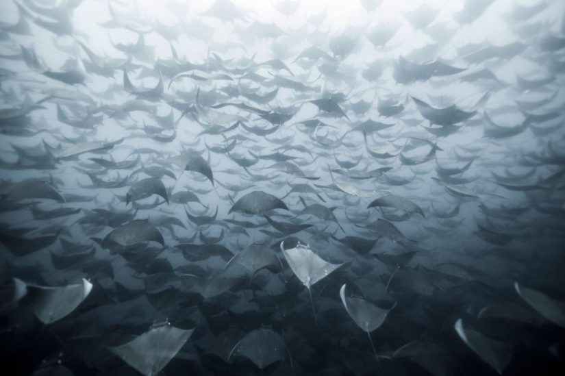 100 best photos without photoshop