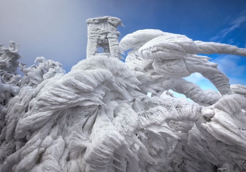 100 best photos without photoshop
