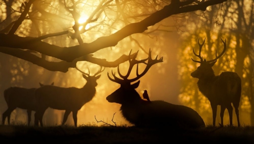 100 best photos without photoshop