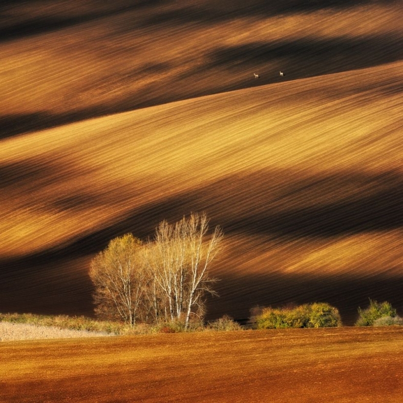 100 best photos without photoshop