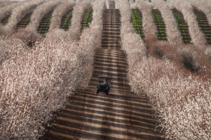 100 best photos without photoshop