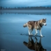 100 best photos without photoshop 100 best photos without photoshop