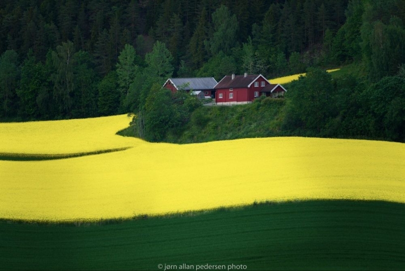 100 best photos without photoshop