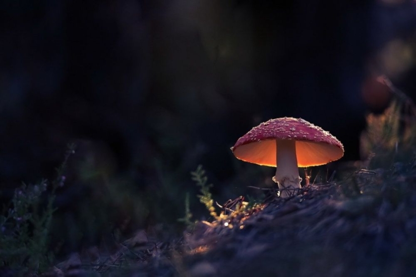 100 best photos without photoshop