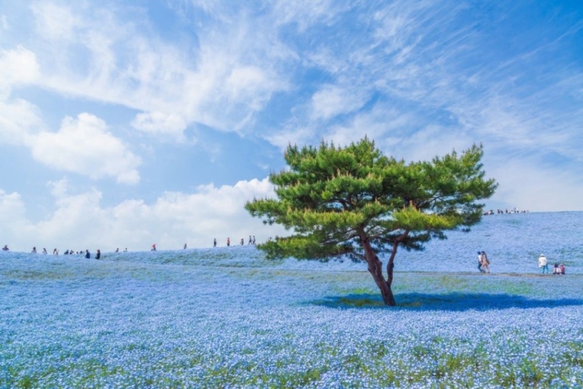 100 best photos without photoshop