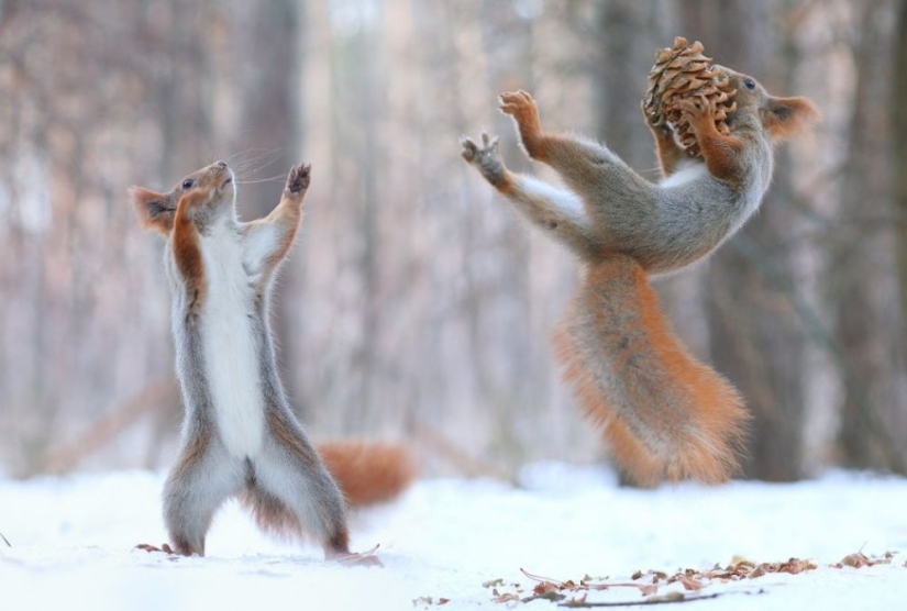 100 best photos without photoshop