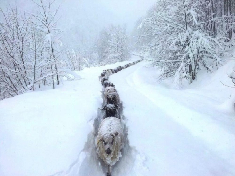 100 best photos without photoshop