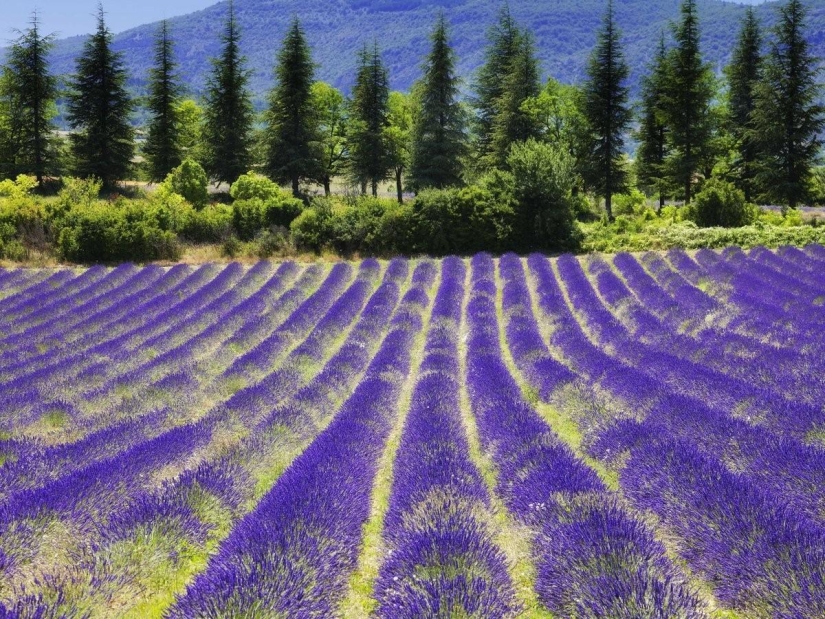 100 places in the world that you must visit in your life 100 places in the world that you must visit in your life
